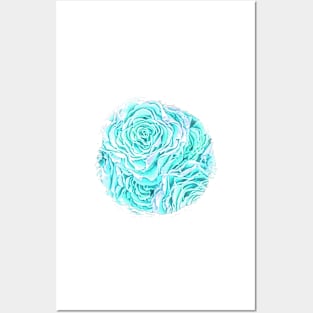 Aqua Rose Posters and Art